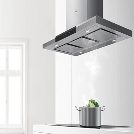 Extractor de grasa